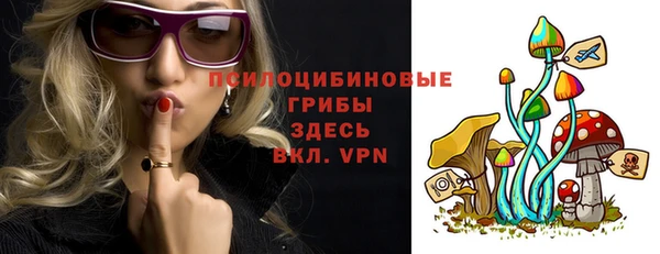 индика Козловка