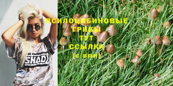 винт Кодинск