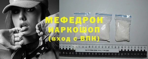 индика Козловка