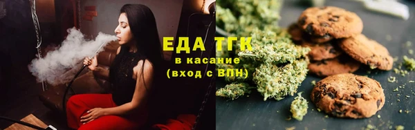 индика Козловка