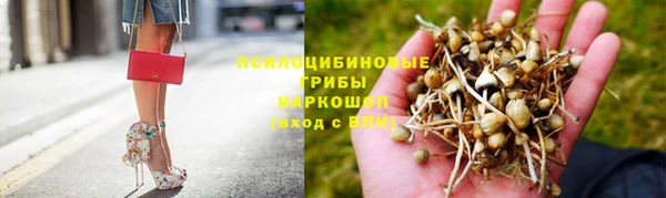 винт Кодинск