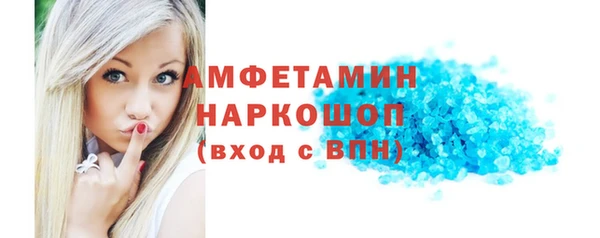 индика Козловка