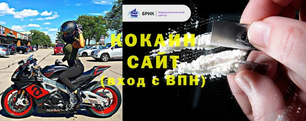 индика Козловка