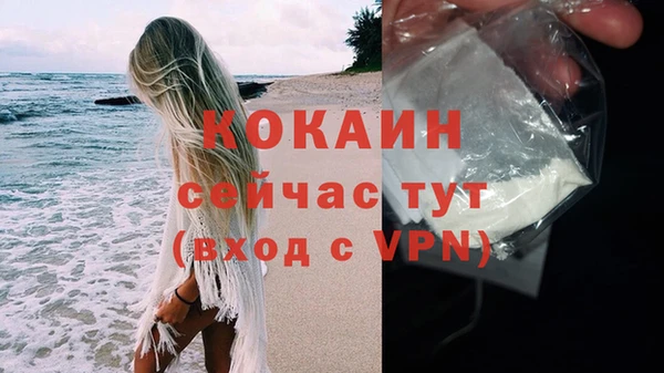 индика Козловка