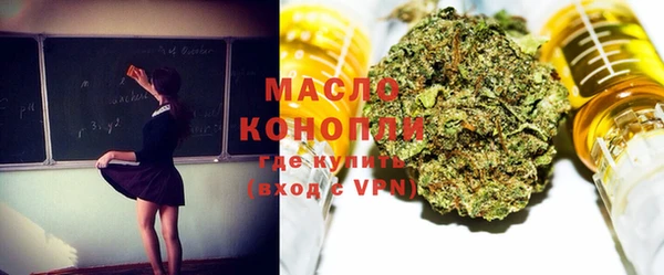 индика Козловка