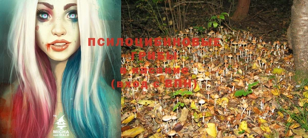 винт Кодинск