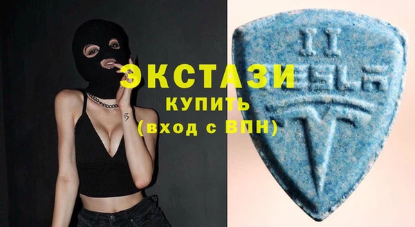 индика Козловка