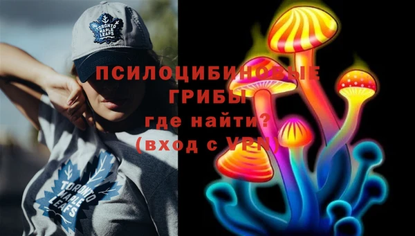 индика Козловка