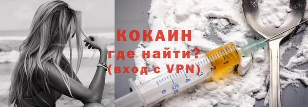 индика Козловка